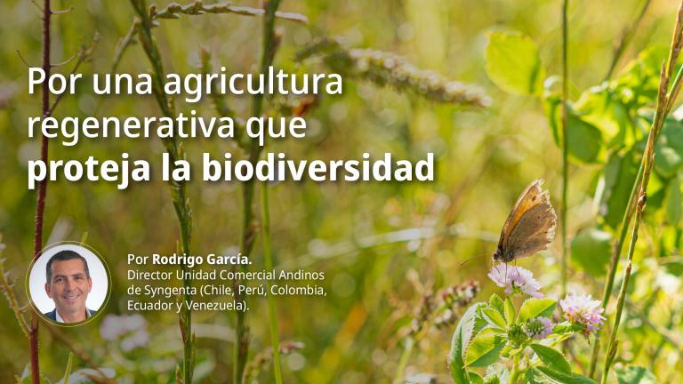 bio-banner-aprobado-diversidad