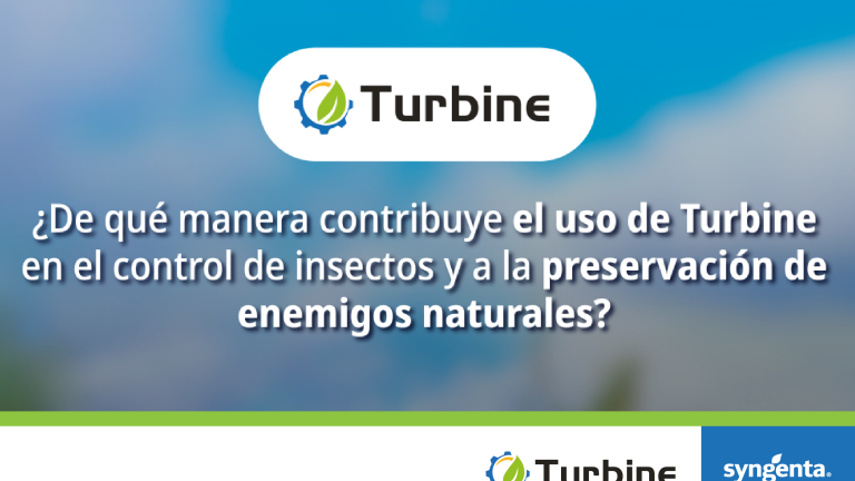 Turbine-Pilar-1-1