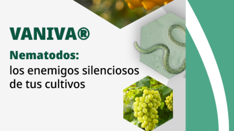 Nematodos: los enemigos silenciosos de tus cultivos