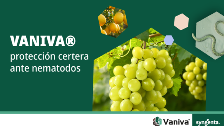 banner-web-vaniva2-72.png