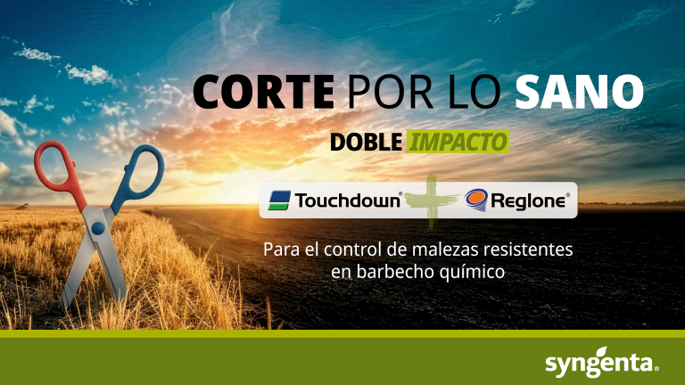 banner-web_reglone-touchdown.png