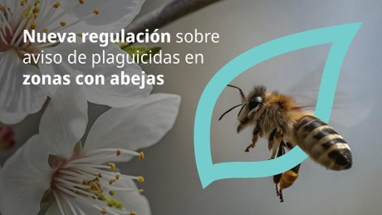 Nota_web_Avisaje_de_Apliaciones.jpg