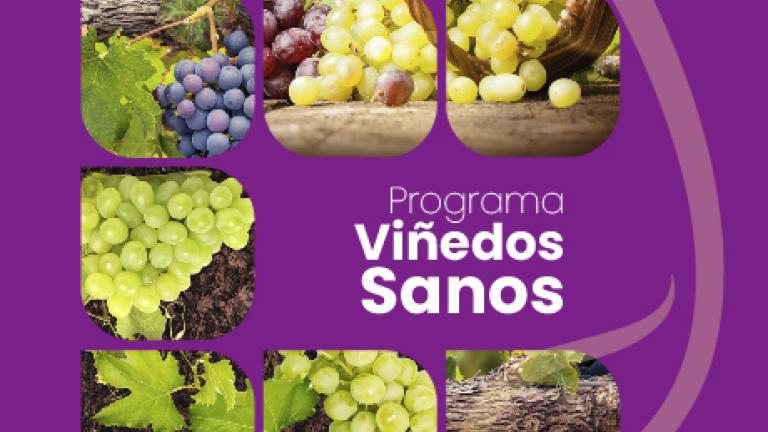 imagenes_programas_fitosanitarios_72dpi_vides