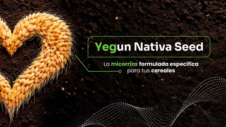 banner_yegun_nativa_seed_web_syngenta.jpg