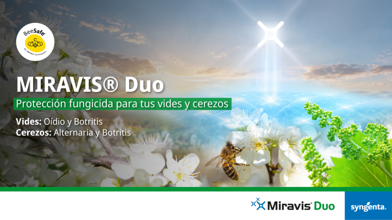 banner_syngenta_miravis_duo2_m2.png