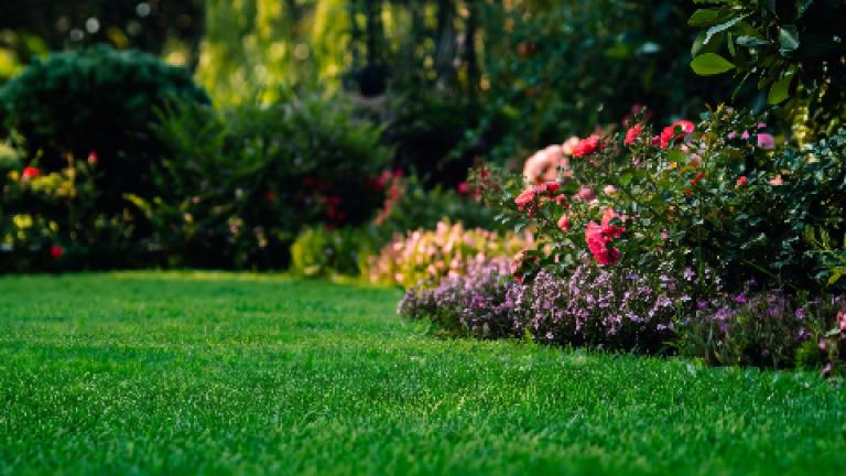 Jardín con césped verde y macizos de flores rosas y moradas al fondo