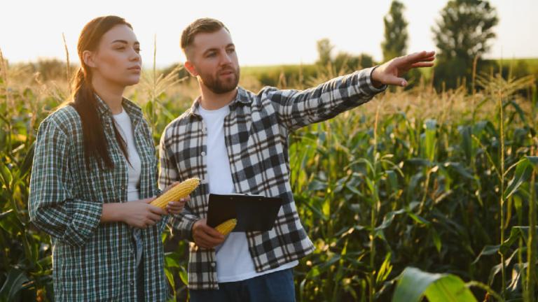 Dos agricultores en un maizal, uno señala el campo al atardecer.