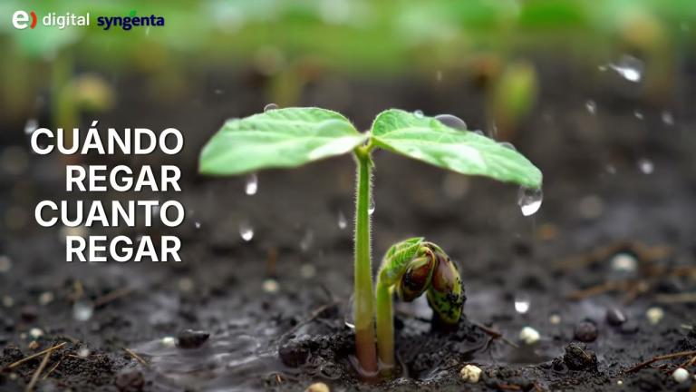 Cómo optimizar el uso de suelo y agua en la agricultura.