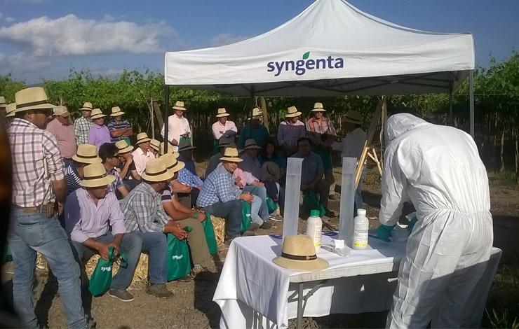 2da versión del Día de Campo de la Cebolla