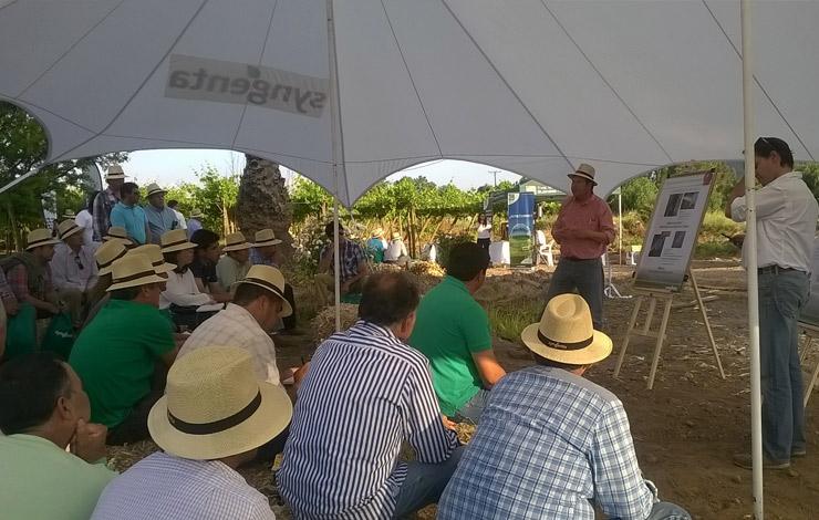 2da versión del Día de Campo de la Cebolla