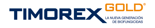 timorex gold logo