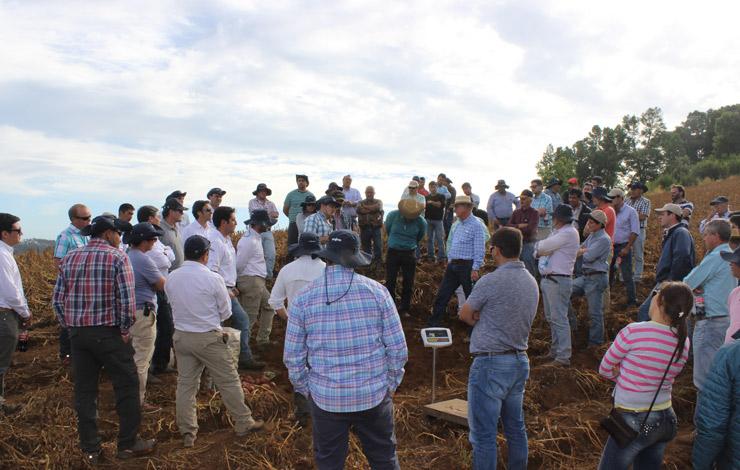 día de campo de la IX región
