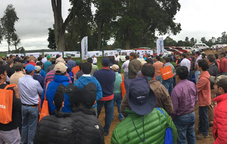 día de campo en Agrícola Llanquihue X región