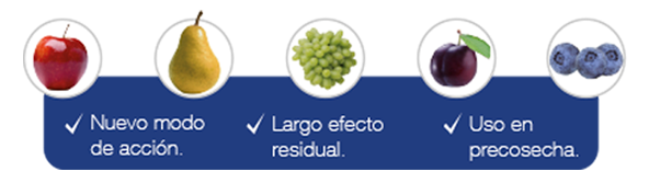 Proclaim forte Landing page img frutas