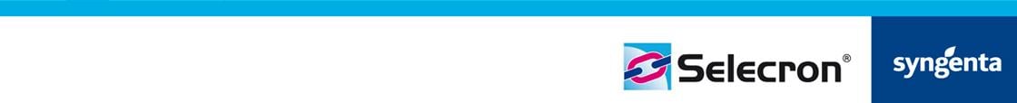 Footer Selecron