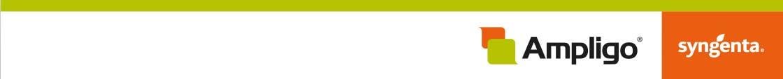 Ampligo branding bottom