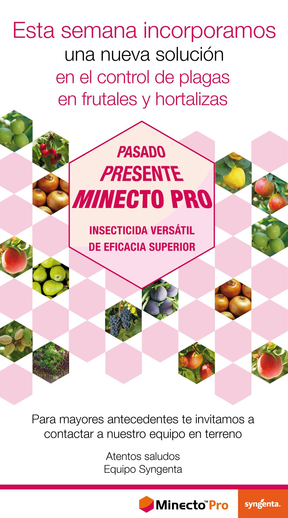 Lanzamiento Minecto Pro