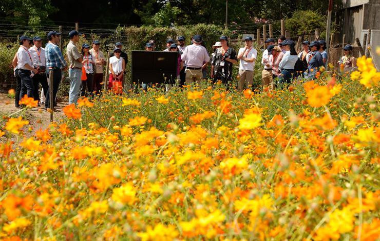Conozca Operation Pollinator: salud para polinizadores