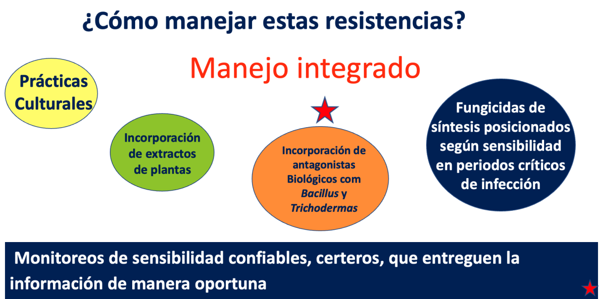 cuadro manejo