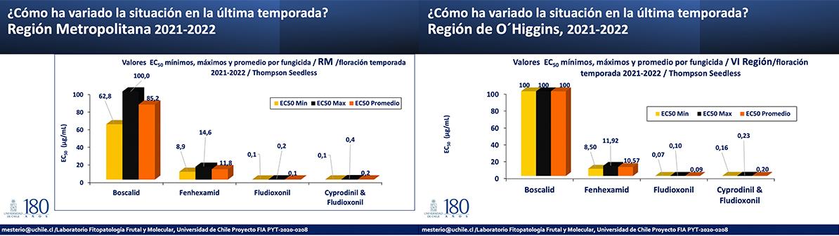 graficos seminario fungicidas