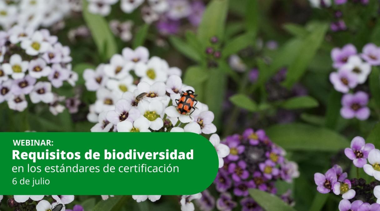 Noticia Webinar
