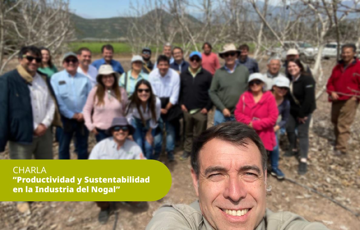 Noticia: Productividad y Sustentabilidad en la Industria del Nogal