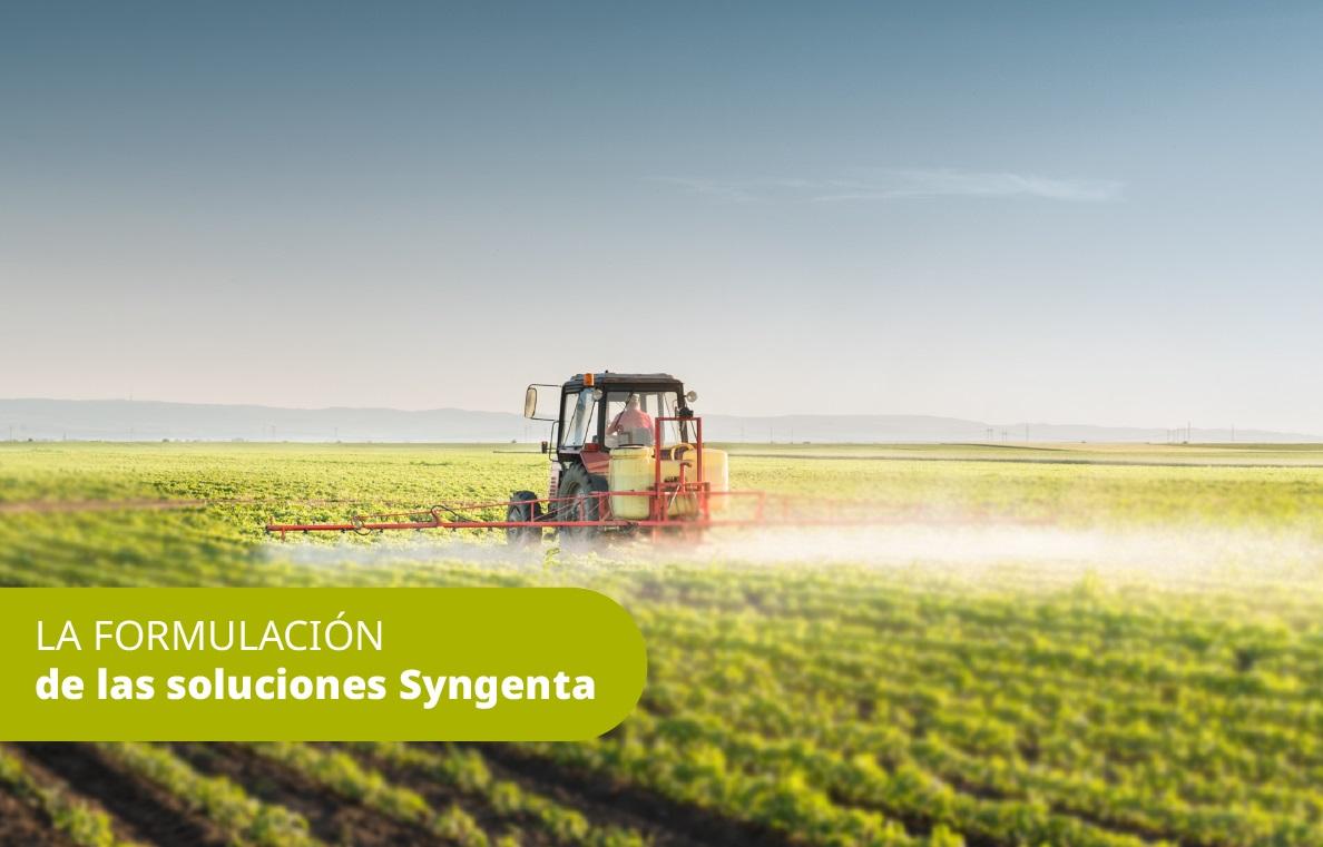 Noticia Syngenta