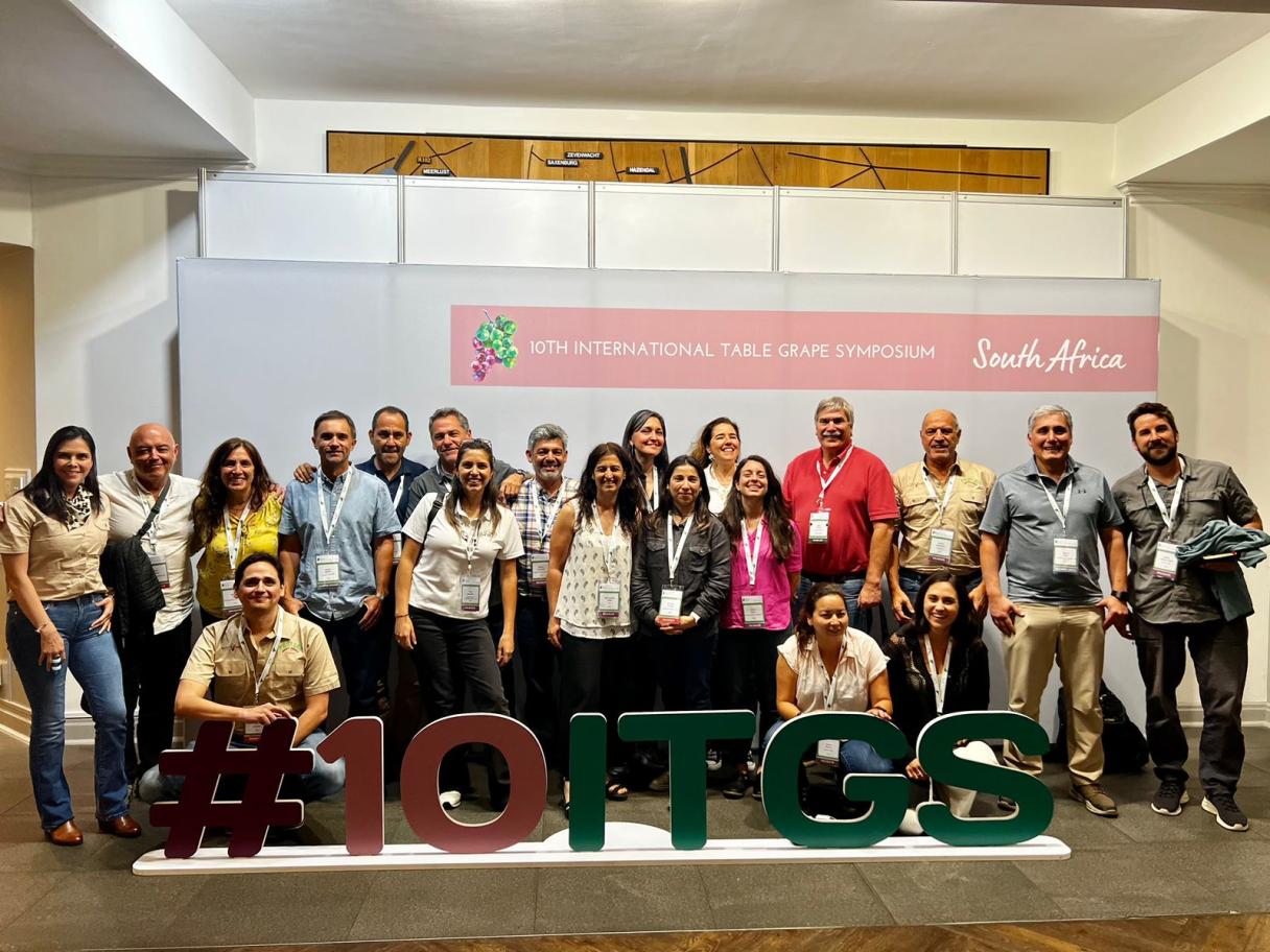 Noticia Syngenta