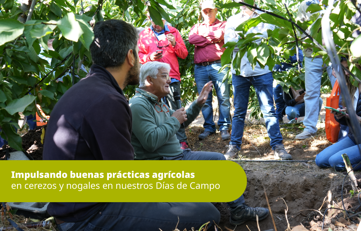bannerweb_syngenta-093.png