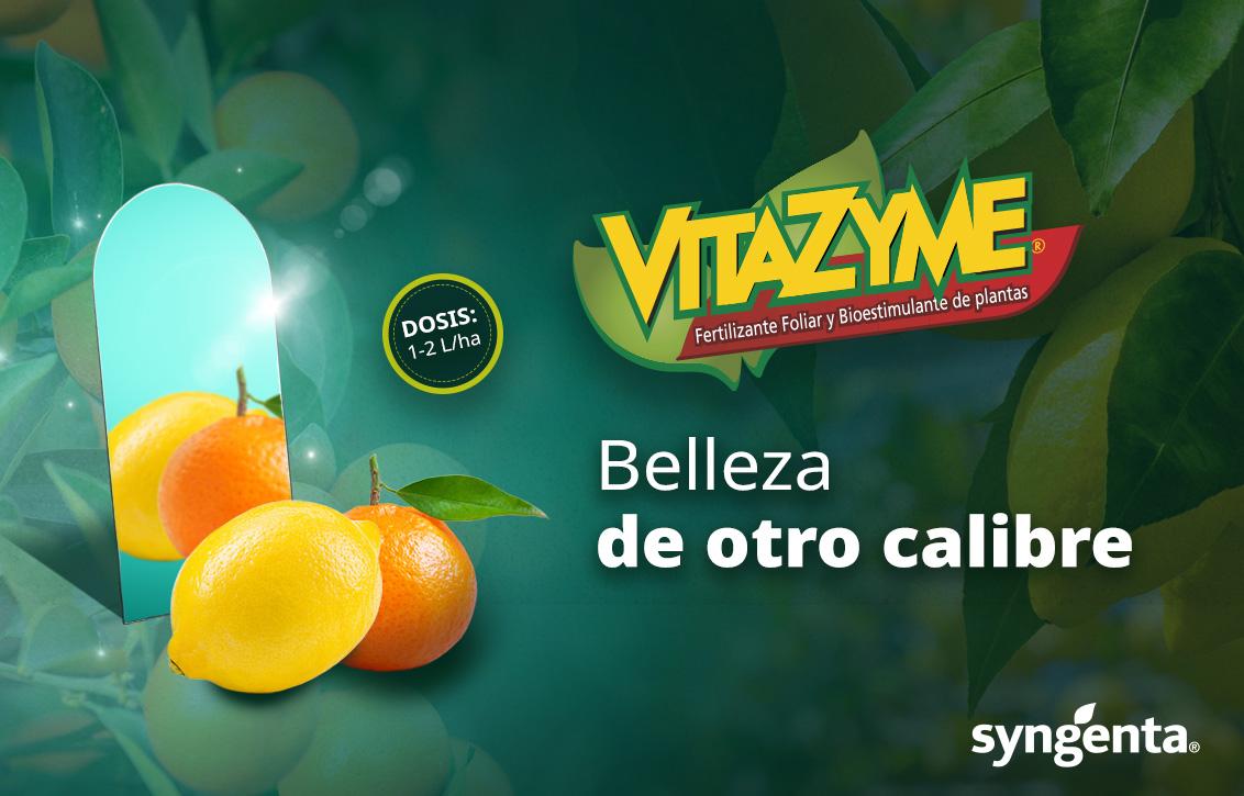 vitazime banner1