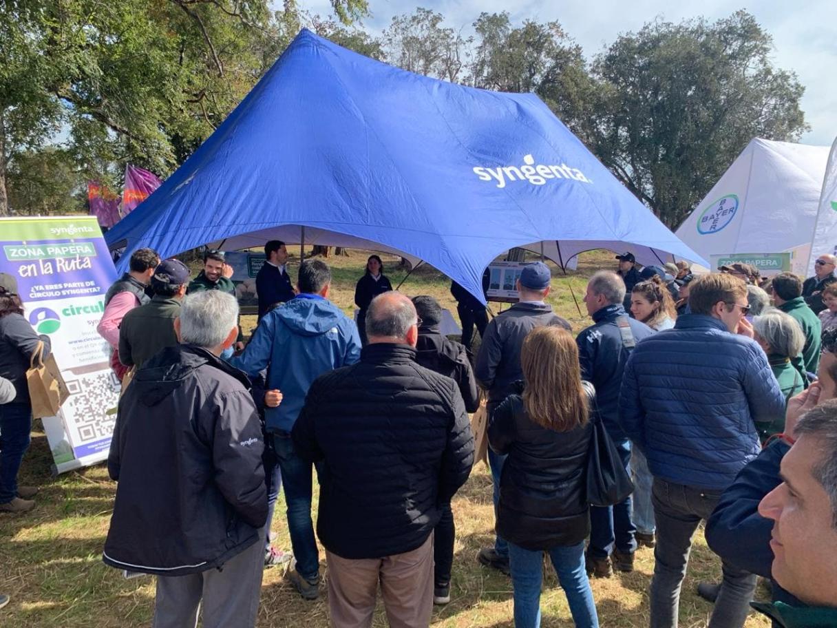 Nuestro stand durante las presentaciones de soluciones Syngenta.