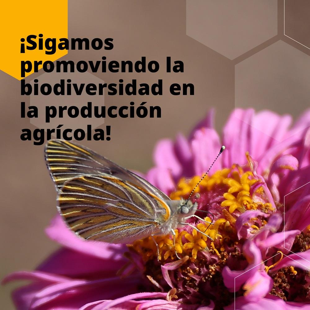 Operation Pollinator