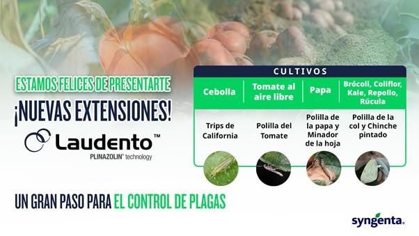 imagen1.jpg