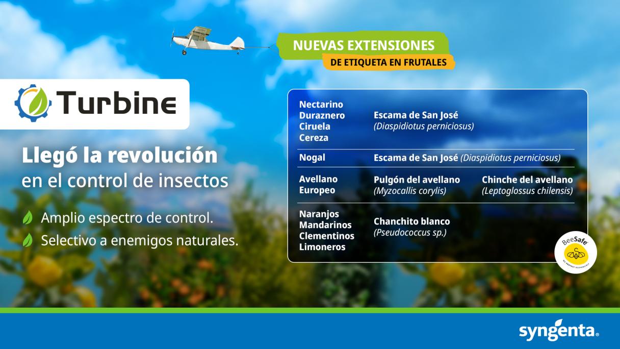 turbine-nuevasextensiones-.jpg