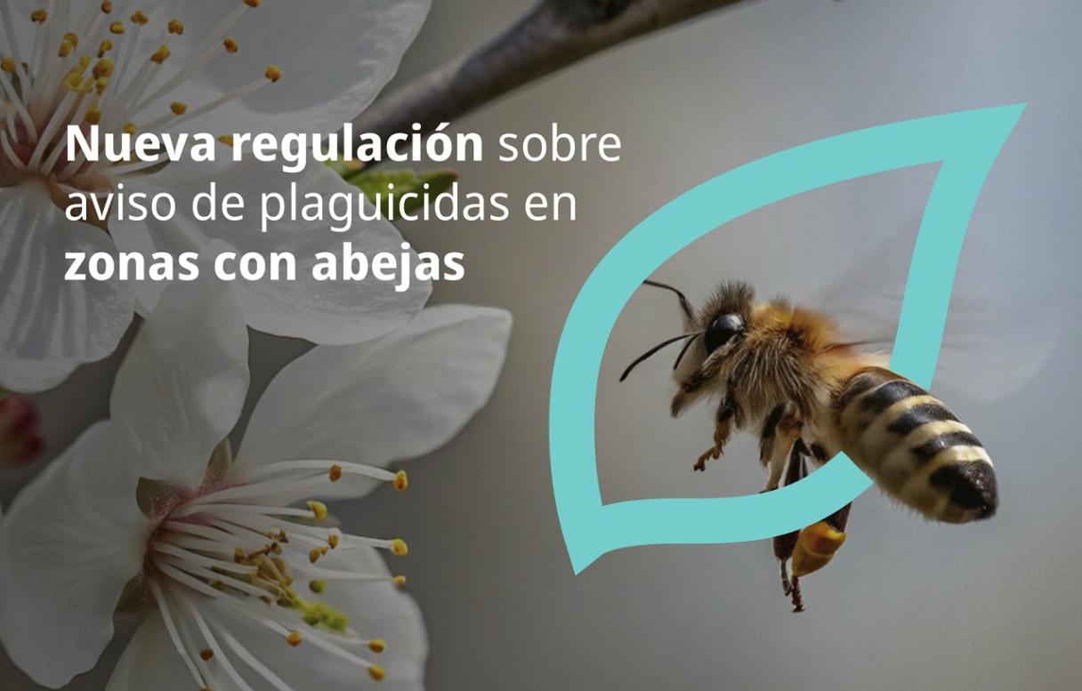 Gráfica para Nota web Avisaje de Apliaciones (2).jpg