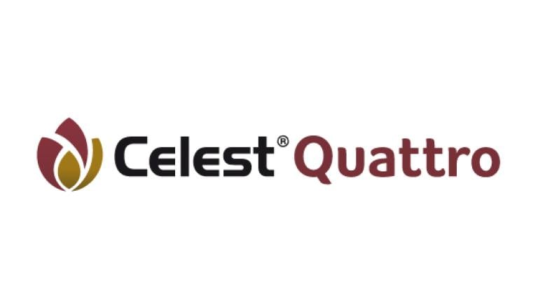 Celest Quattro Semillero