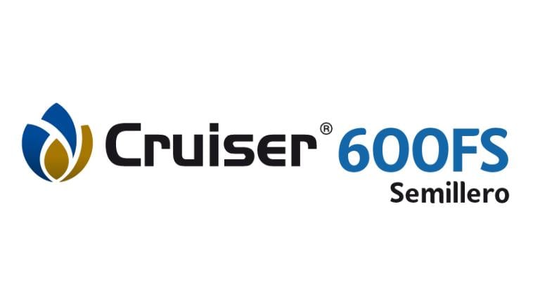CRUISER 600 FS 