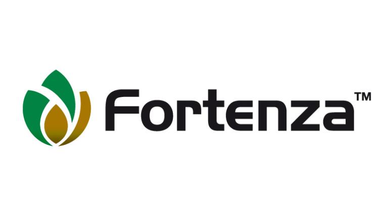 Logo fortenza