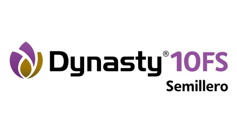 Logotipo de Dynasty 10FS Semillero en negro y morado