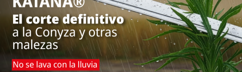Publicidad de Katana: cuchillo sobre mesa mojada y planta verde al fondo.