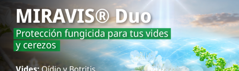 Anuncio de fungicida Miravis Duo con flores blancas y campo al atardecer.