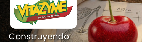 Anuncio de Vitazyme: manzana roja con cinta métrica y texto “Construyendo grandes calibres”
